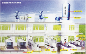 实验室通风系统